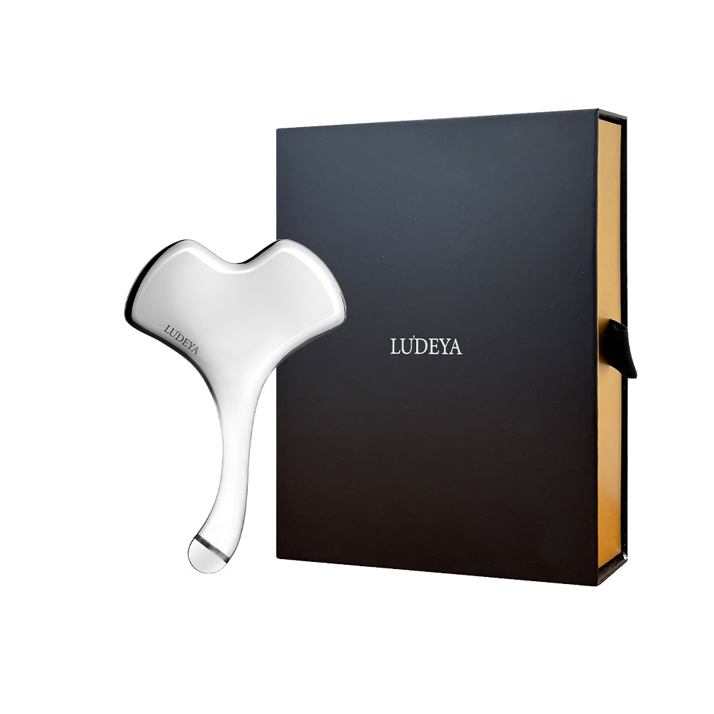 Ludeya Magnetic Microcurrent Toning Device