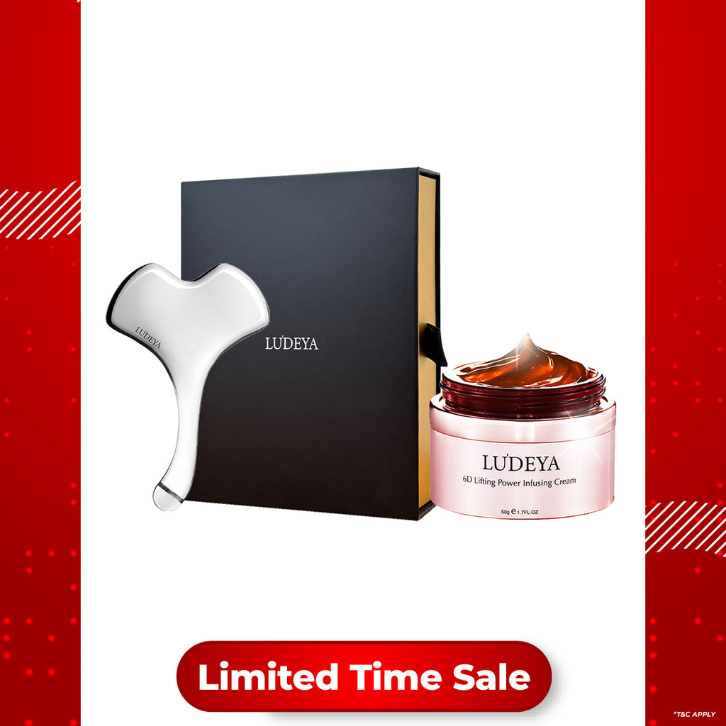 Ludeya Magnetic Microcurrent Toning Device + Infusing Cream 50g